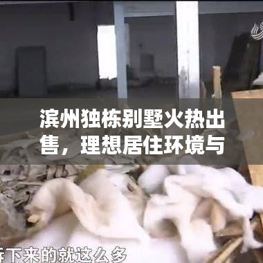 滨州独栋别墅火热出售，理想居住环境与投资潜力双重保障