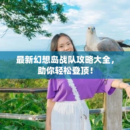 最新幻想岛战队攻略大全，助你轻松登顶！