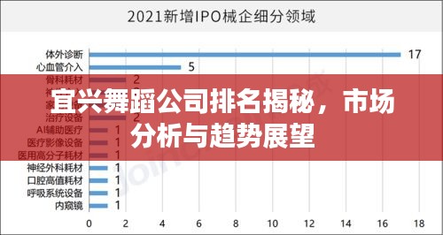 宜兴舞蹈公司排名揭秘，市场分析与趋势展望