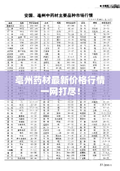亳州药材最新价格行情一网打尽！
