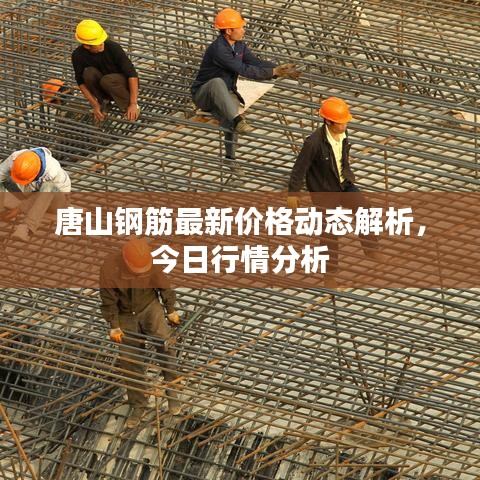 唐山钢筋最新价格动态解析，今日行情分析