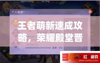 王者萌新速成攻略，荣耀殿堂晋级捷径揭秘！