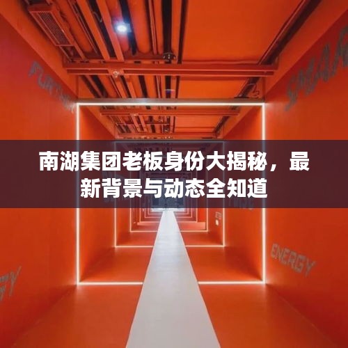 南湖集团老板身份大揭秘，最新背景与动态全知道