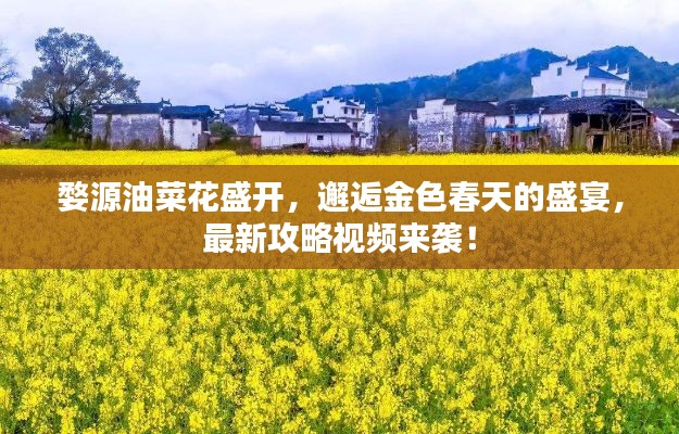 婺源油菜花盛开，邂逅金色春天的盛宴，最新攻略视频来袭！