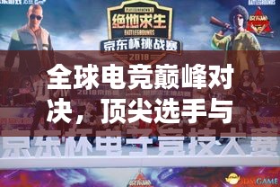 全球电竞巅峰对决，顶尖选手与战队荣耀排名之战！