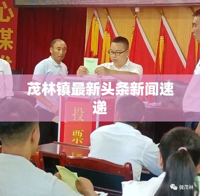 茂林镇最新头条新闻速递