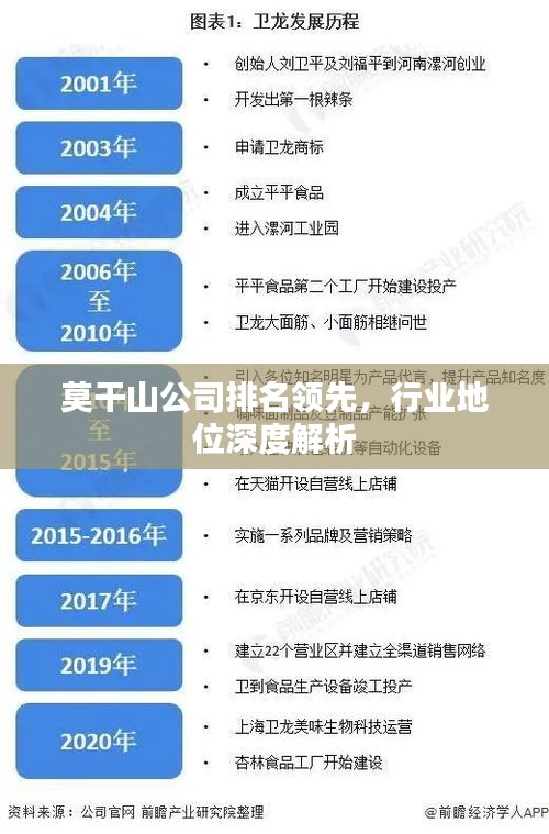 莫干山公司排名领先，行业地位深度解析