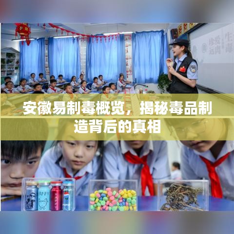 安徽易制毒概览，揭秘毒品制造背后的真相