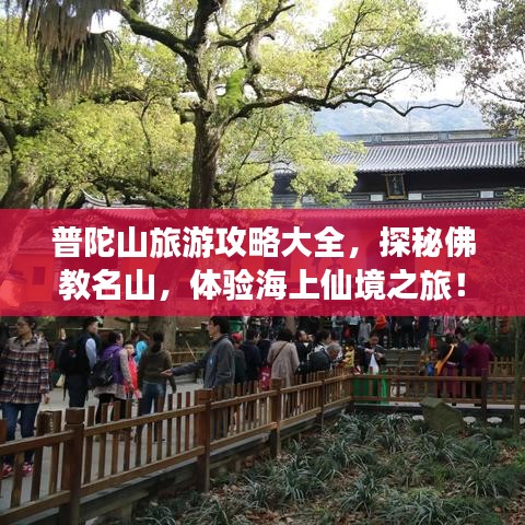普陀山旅游攻略大全，探秘佛教名山，体验海上仙境之旅！