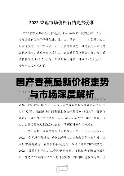 国产香蕉最新价格走势与市场深度解析