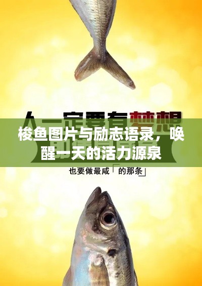 梭鱼图片与励志语录，唤醒一天的活力源泉
