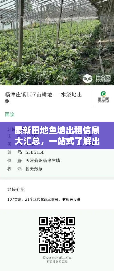最新田地鱼塘出租信息大汇总，一站式了解出租动态