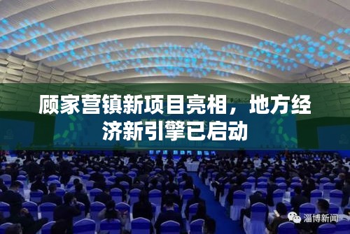 顾家营镇新项目亮相，地方经济新引擎已启动