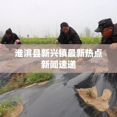 淮滨县新兴镇最新热点新闻速递