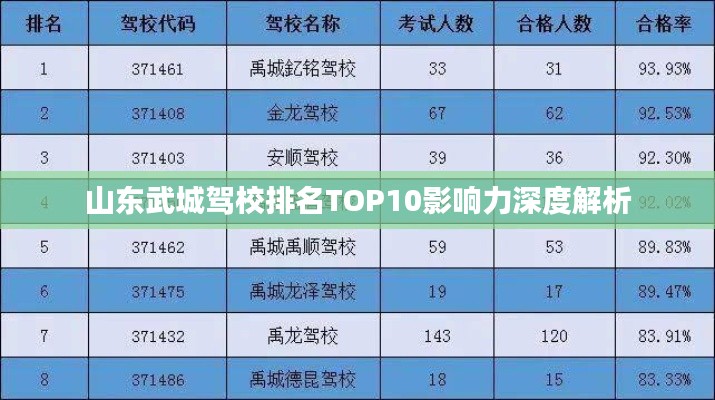 山东武城驾校排名TOP10影响力深度解析