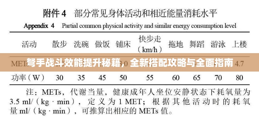 弩手战斗效能提升秘籍，全新搭配攻略与全面指南