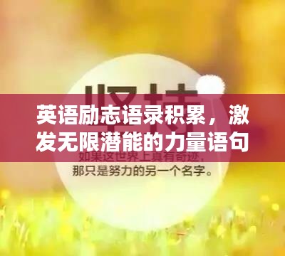 英语励志语录积累，激发无限潜能的力量语句