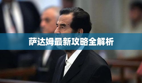 萨达姆最新攻略全解析