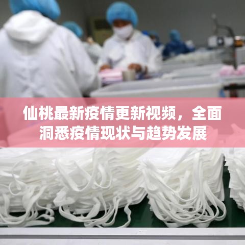 仙桃最新疫情更新视频，全面洞悉疫情现状与趋势发展