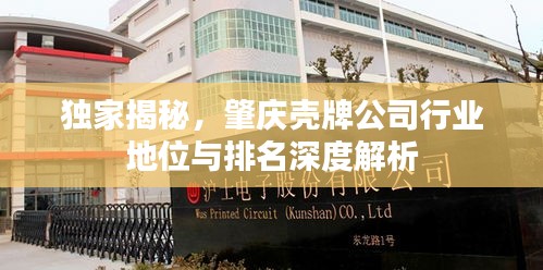 独家揭秘，肇庆壳牌公司行业地位与排名深度解析