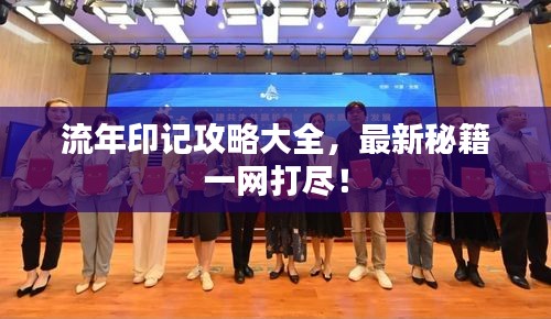 流年印记攻略大全，最新秘籍一网打尽！