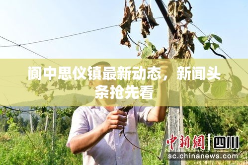 阆中思仪镇最新动态，新闻头条抢先看