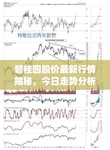 碧桂园股价最新行情揭秘，今日走势分析与展望