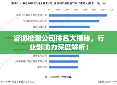 咨询检测公司排名大揭秘，行业影响力深度解析！