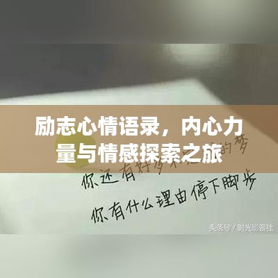 2025年5月13日 第3页