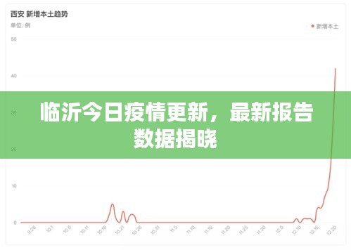 临沂今日疫情更新，最新报告数据揭晓