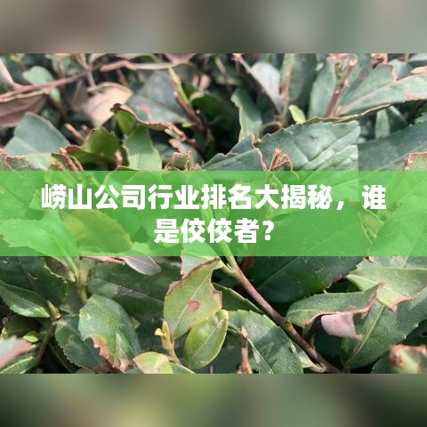 崂山公司行业排名大揭秘，谁是佼佼者？
