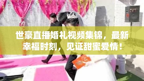 世豪直播婚礼视频集锦，最新幸福时刻，见证甜蜜爱情！