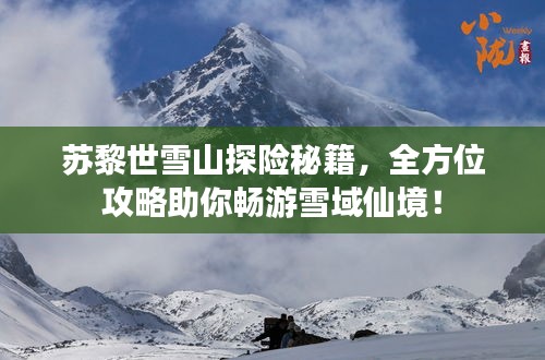 苏黎世雪山探险秘籍，全方位攻略助你畅游雪域仙境！