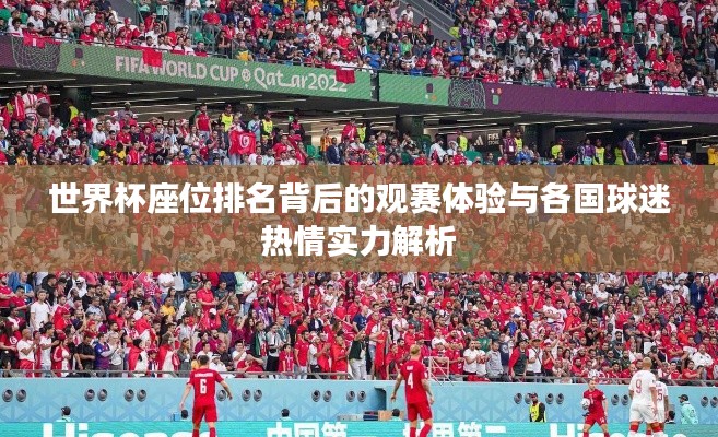 世界杯座位排名背后的观赛体验与各国球迷热情实力解析