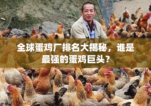 全球蛋鸡厂排名大揭秘，谁是最强的蛋鸡巨头？