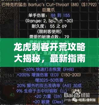 龙虎刺客开荒攻略大揭秘，最新指南助你轻松登顶！