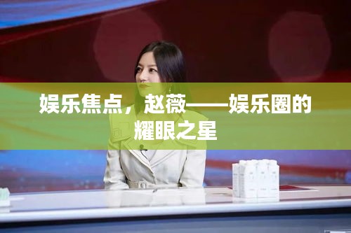 娱乐焦点，赵薇——娱乐圈的耀眼之星