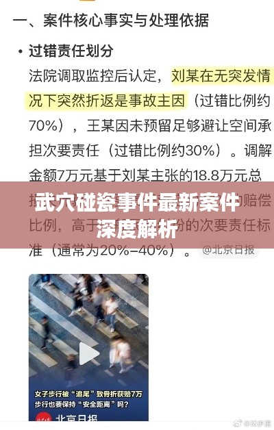 武穴碰瓷事件最新案件深度解析