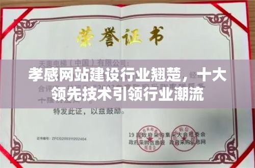 孝感网站建设行业翘楚，十大领先技术引领行业潮流