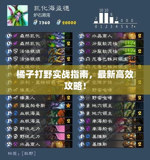橘子打野实战指南，最新高效攻略！