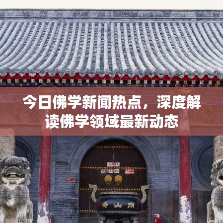 今日佛学新闻热点，深度解读佛学领域最新动态