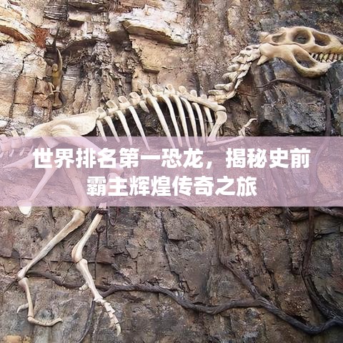 世界排名第一恐龙，揭秘史前霸主辉煌传奇之旅
