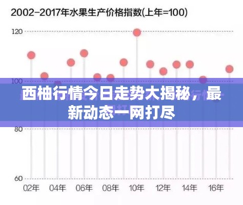 西柚行情今日走势大揭秘，最新动态一网打尽