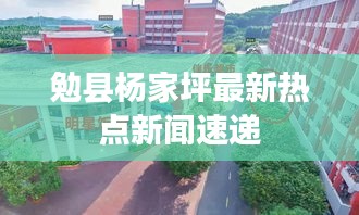 勉县杨家坪最新热点新闻速递