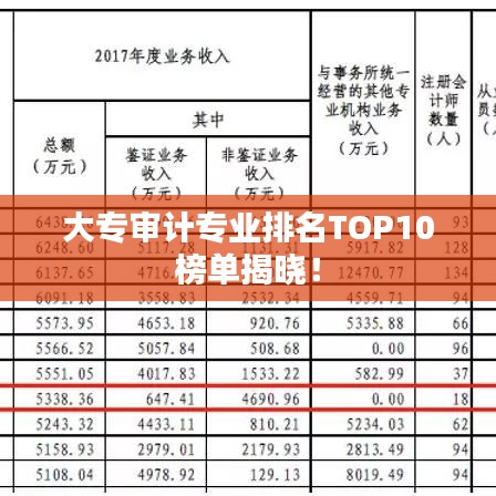 大专审计专业排名TOP10榜单揭晓！
