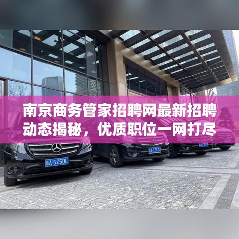 南京商务管家招聘网最新招聘动态揭秘，优质职位一网打尽！