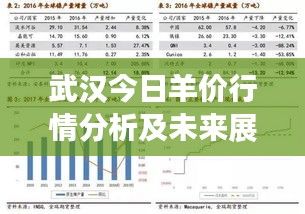 武汉今日羊价行情分析及未来展望
