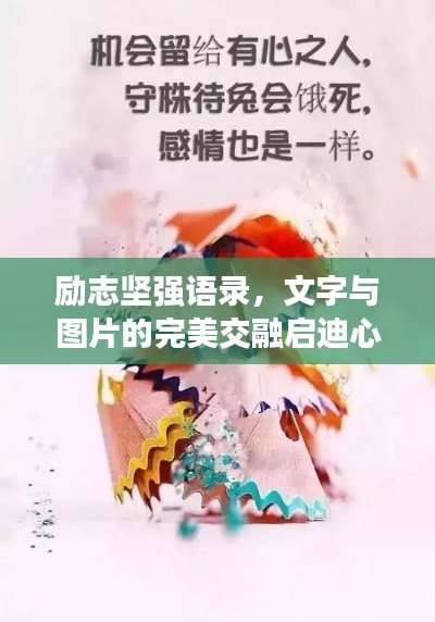 励志坚强语录，文字与图片的完美交融启迪心灵！