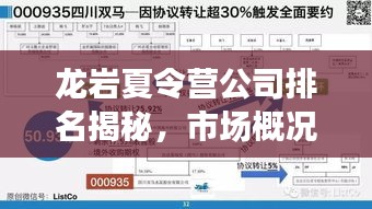 龙岩夏令营公司排名揭秘，市场概况深度解读