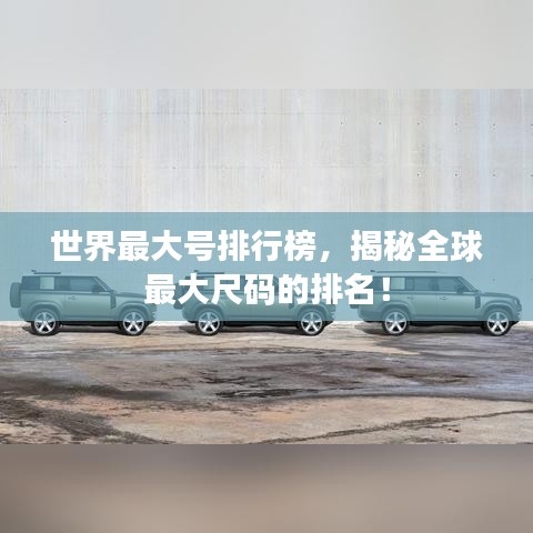 世界最大号排行榜，揭秘全球最大尺码的排名！
